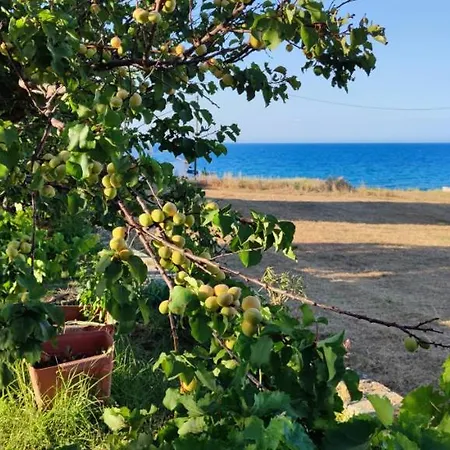 Zante Summer Retreats - Marietta's Apartment2 Drosia Appartement *