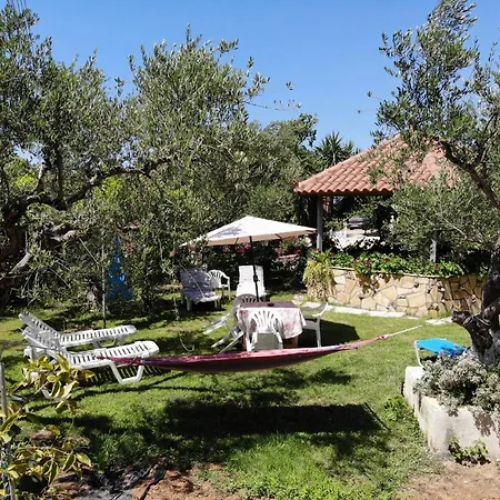 Zante Summer Retreats - Marietta's Apartment2 Drosia